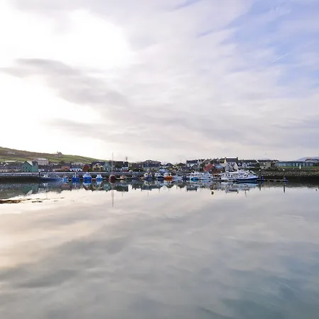 The Quayside Dingle